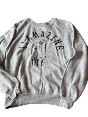 Llamazing Graphic Sweatshirt Gray XS Wound Up Llama